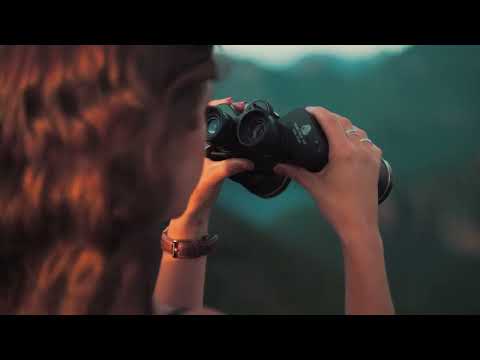 Manifesto Darwin Startups - video from Darwin Startups
