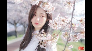 [VIETSUB][FMV] Jung Chaeyeon - When The Cherry Blossom Fade