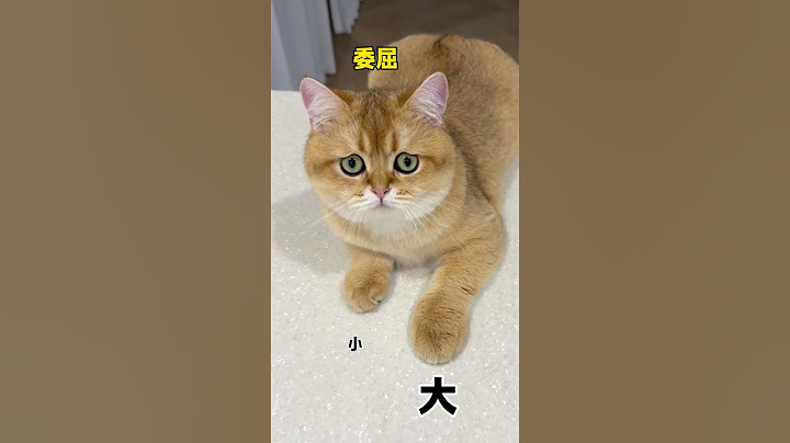 【牛奶是只猫】真的拿他们没办法，又爱又恨哈哈哈