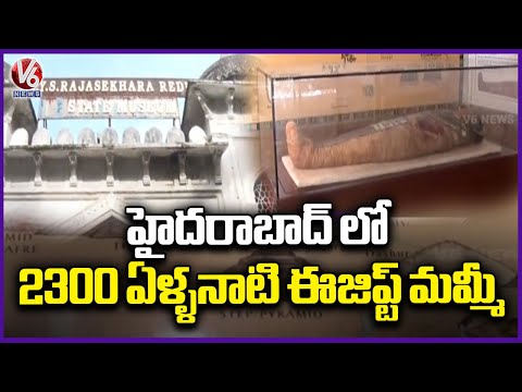 2300 Years old Egyptian Mummy on Display At Hyderabad's YSR Museum |  Public Garden  | Nampally | V6 - V6NEWSTELUGU