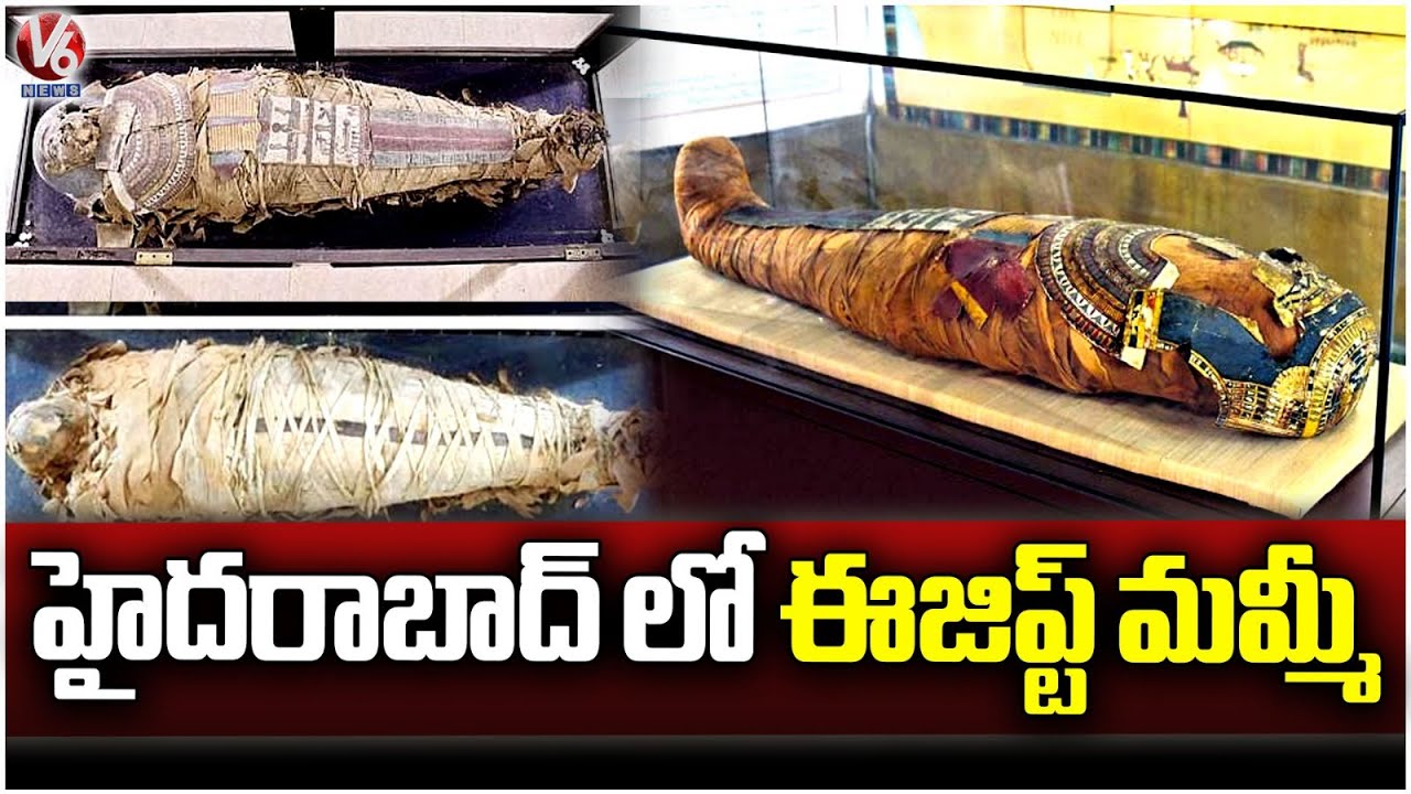 2300 Years old Egyptian Mummy on Display At Hyderabad's YSR Museum |  Public Garden  | Nampally | V6