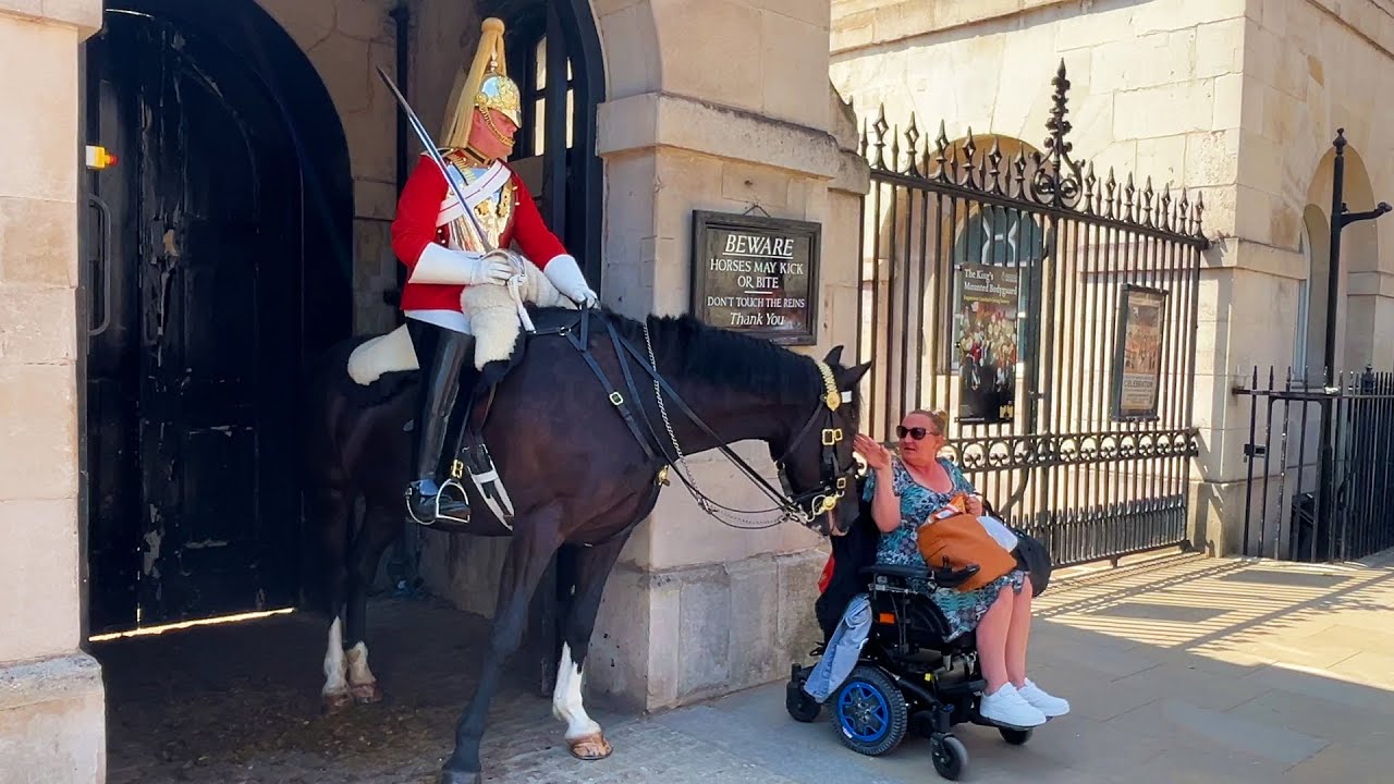 Beautiful Moment A Kings Guard Horse Shows Affection for Disabled Lady.