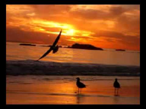 عود ناي تداخل موسيقي جميل موسيقى الحب