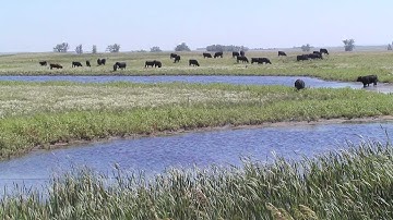 The Importance of Range Monitoring- INTRO ONLY