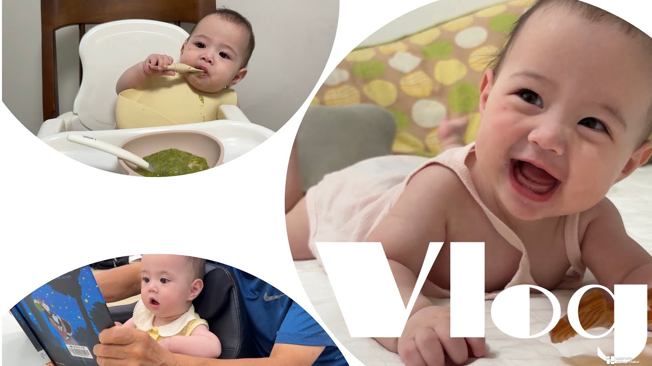 부산일상 | 0.5살 카야의 여름나기 