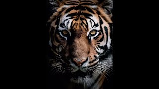 平潭DJ阿星-知足者常乐 看开者无忧 閎衍會所No.01