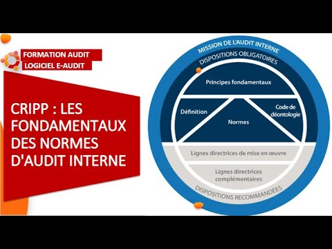 Vidéo: Audit de l'initiative : description, objectif, fonctionnalités et valeur