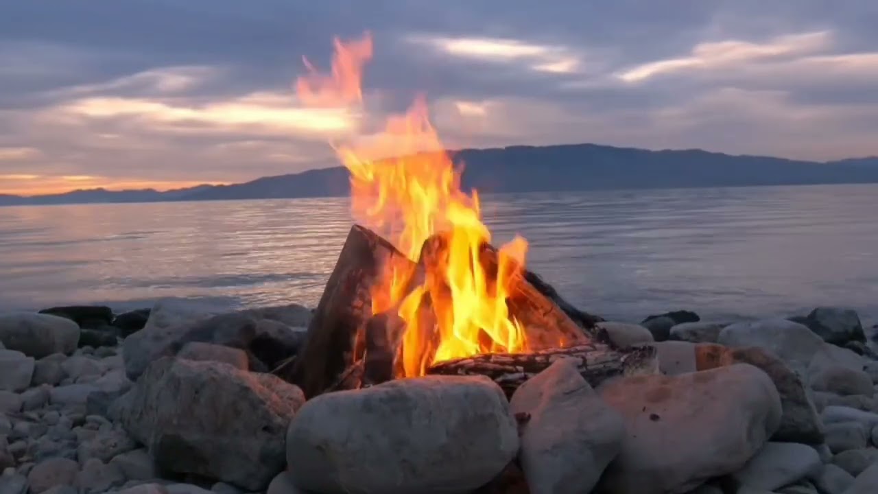 KADA SE BORIS U ZIVOTU NEMA REKLAMA (2026)