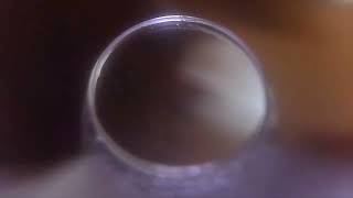 Bore scope before & after cleaning