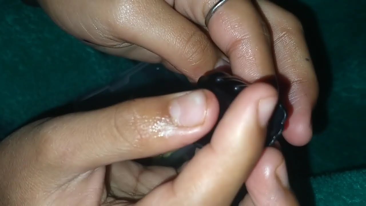 DEEWANIYAT Tital Track - Ek Deewane Ki  Deewaniyat Harshvardhen Sonam | Vishal, Kaushik Guddu,Kunaal