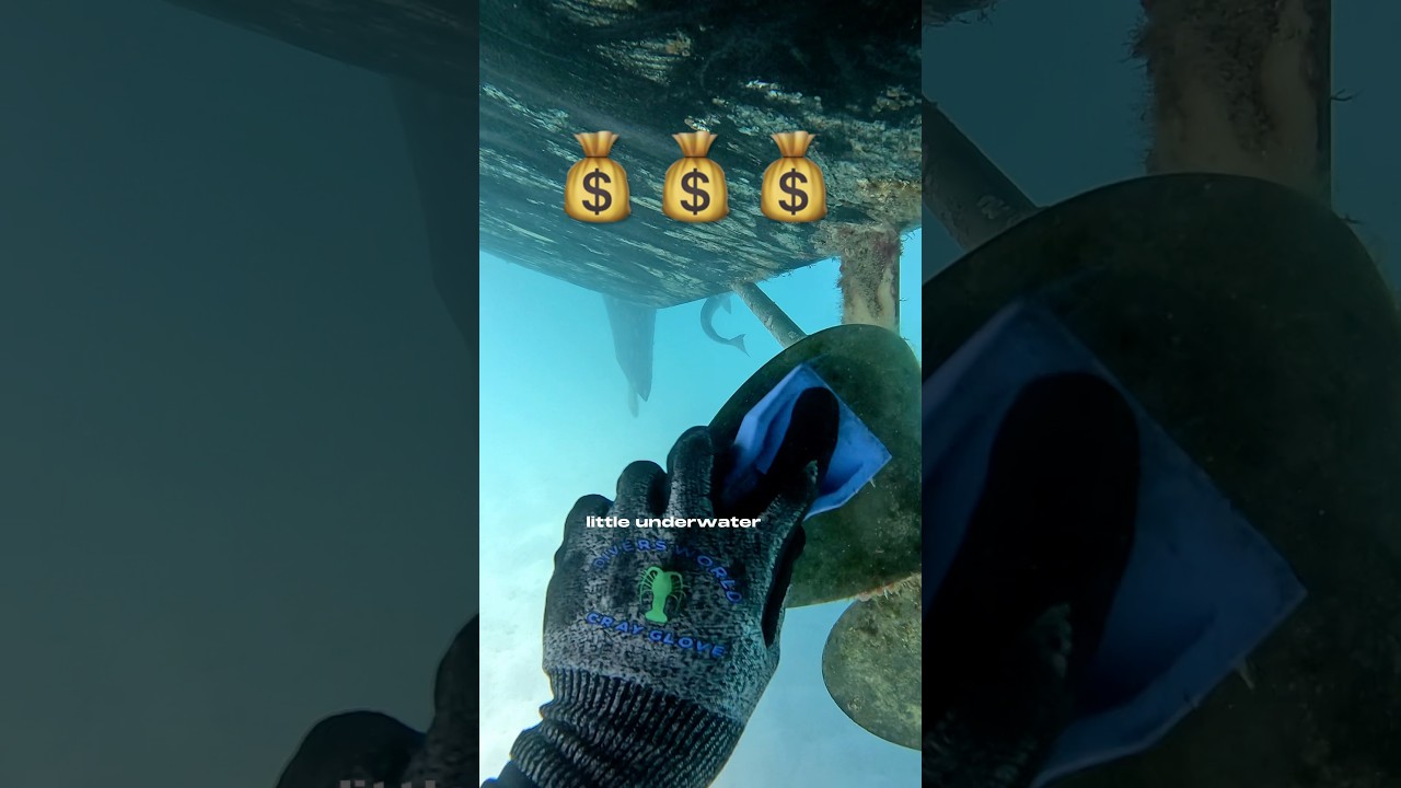 How I make MONEY living on a boat!￼💰⛵️ #boatlife #sailing #ocean #travel #fyp