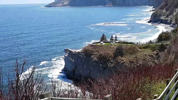 27.05.2017 - Cap Bon Ami, Forillon-Nationalpark