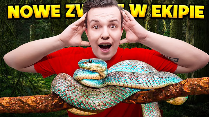 Nowe ZWIERZE w NASZYM DOMU EKIPY! *niespodzianka*