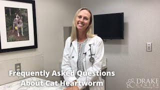 Frequently Asked Questions About Cat Heartworm by The Drake Center for Veterinary Care 458 views 2 years ago 3 minutes, 6 seconds