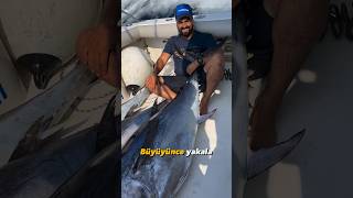 Küçüğü sal büyüğü yakala 💪🏻 #shortsvideo #bigfish #bluefintuna