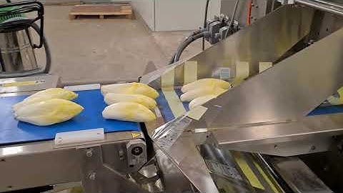 Inline printer bij handelskwekerij Van Rossum voor het plaatsen van lotcodes