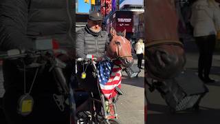 Rollin With The Big Apple Buzz Nyc Tuk-Tuk Tales