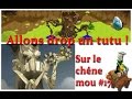 [Dofus] Jeremy-sadi - Allons drop un tutu sur le Chêne mou #17