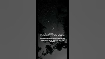 اكتب شي تؤجر عليه | أحمد كاسب من سورة القصص