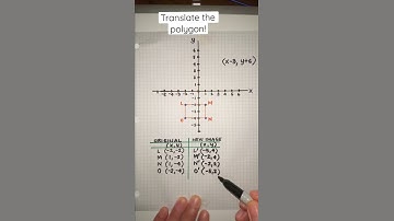Translate the Polygon