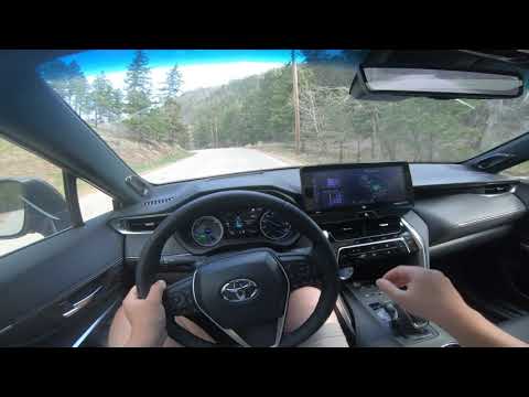 Frustratingly Good - 2021 Toyota Venza Pov Driving Review