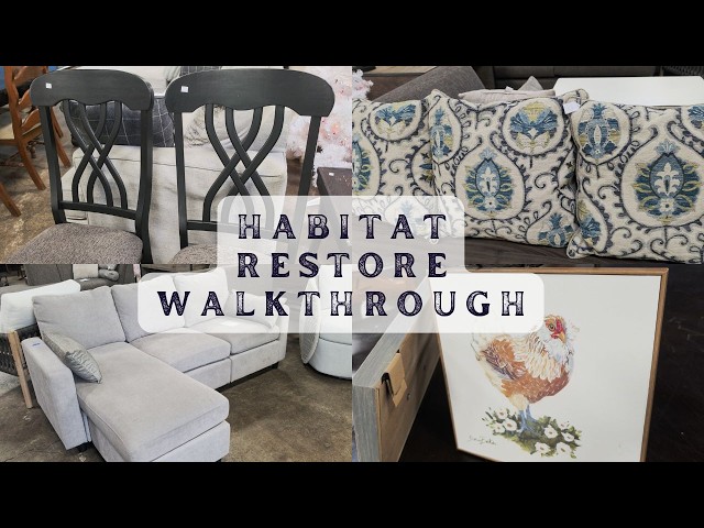 I Found HIGH-END Furniture at this Habitat ReStore for a STEAL