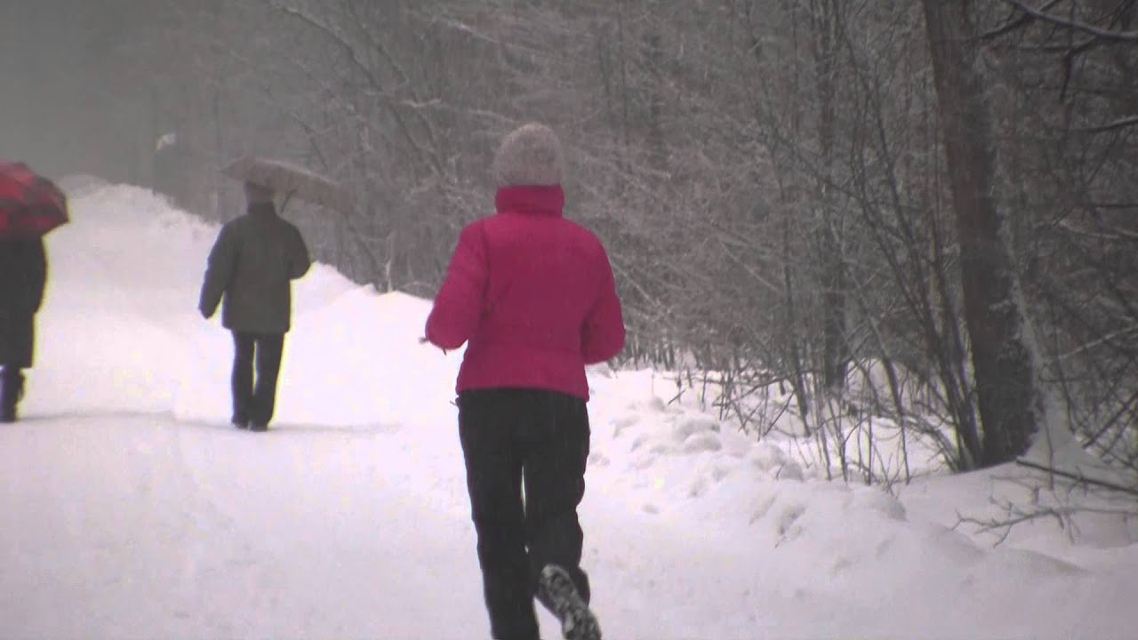 Search for elks and Yeti in Moscow 44