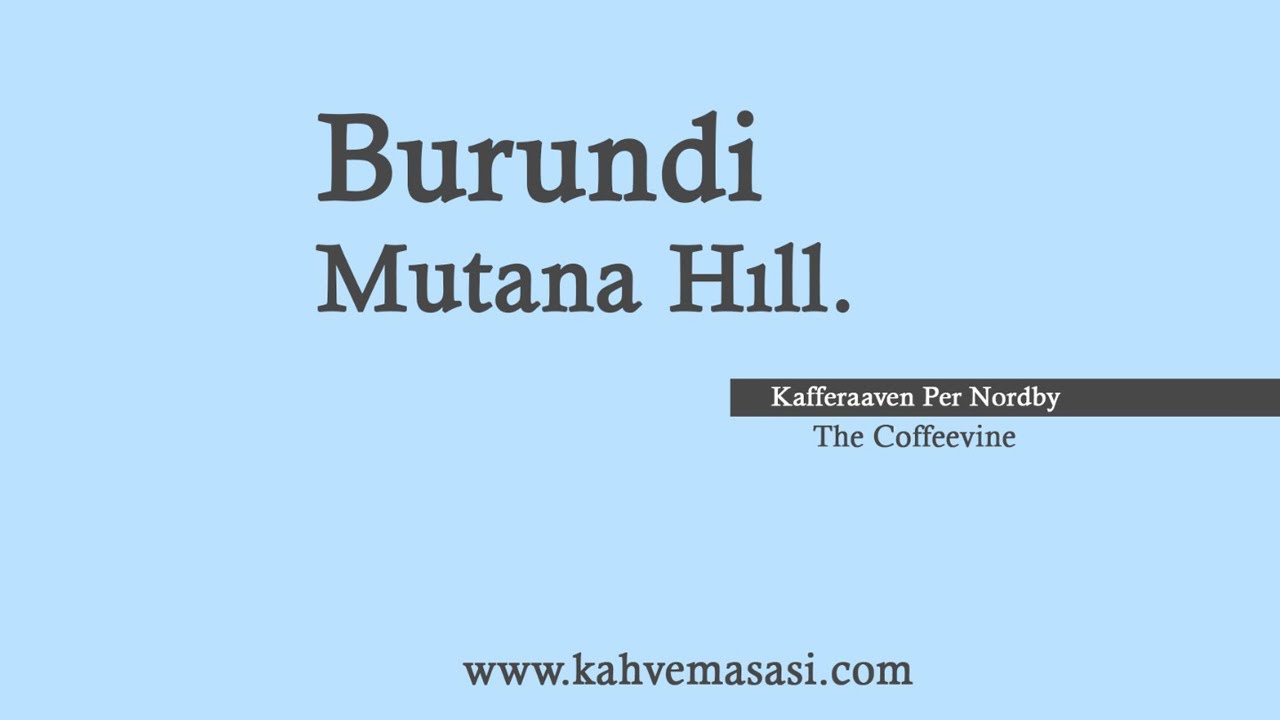 Kafferaaven Per Nordby | Burundi Mutana Hıll (coffeevine)
