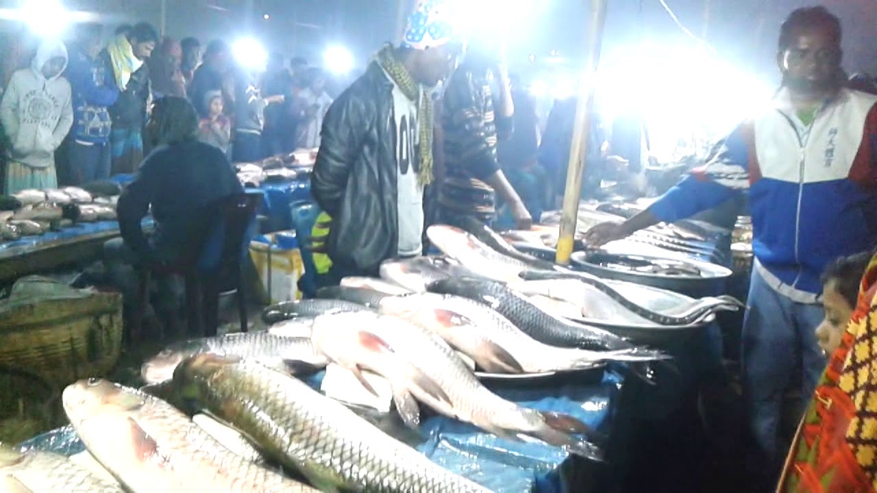 Amazing Night Local Village Big Fish Market Huge Fresh Local Fish Amazing Night Local Village Big Fish Market Huge Fresh Local Fish