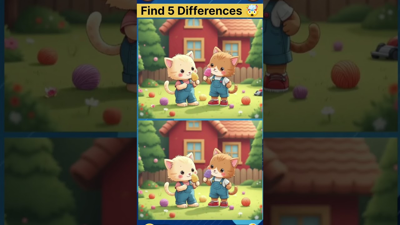 Find 5 Differences 