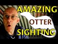 Amazing otter sighting and kingfisher photography