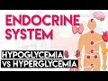 Understanding Hypoglycemia and Hyperglycemia