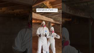 Now the basement can be treated for mold #junkremoval