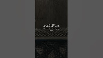 علي جابر | #سورة_البقرة #قرآن #القرآن_الكريم #قران_كريم #quran