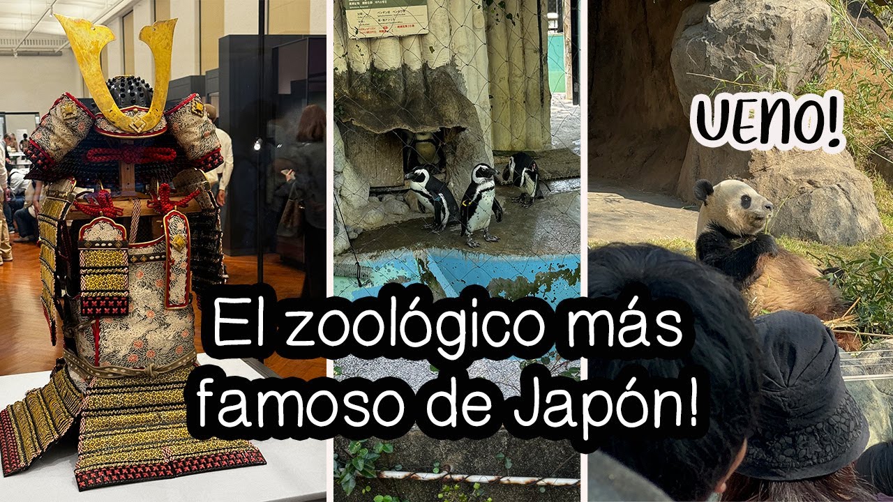 El ZOOLÓGICO más FAMOSO de JAPÓN: UENO! ME METÍ GRATIS AL MUSEO NACIONAL! #japon #tokyo