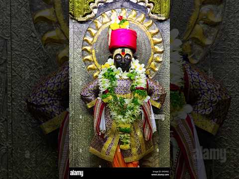 🙏🏻 Vitthal Vitthal Vithala Hari Om Vithala 🙏🏻@connectwithprasad #ytshorts #bhakti #vithumauli