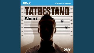 Kapitel 2 (Ideale Arbeitsbedingungen) - Tatbestand, Vol. 2