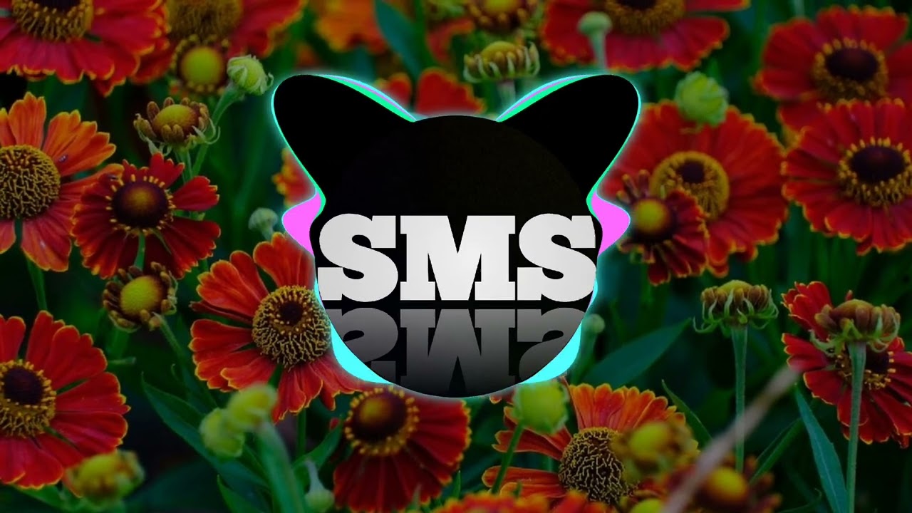 Earonoks - Waronjis - (sms song) - no copyright music 