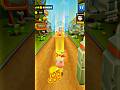 Cat Runner Madness in Gold Rush