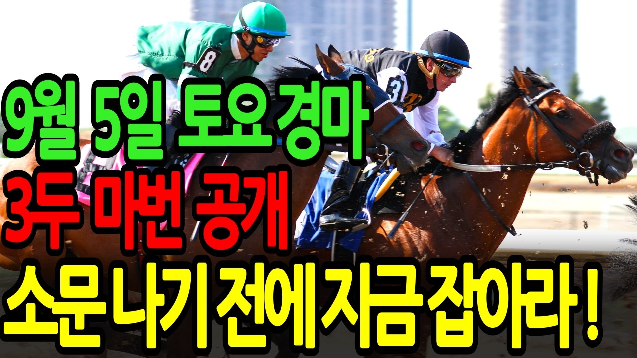 9월 5일 토요일 경마~ 소문 나기 전에 지금 잡아라! | 이번 주말 대박 복병 공개ㅣ승전경마 전문가의 이변 포착 l 경마 l 경마예상 l 코리아레이스 l 검빛경마 ㅣ경마정보