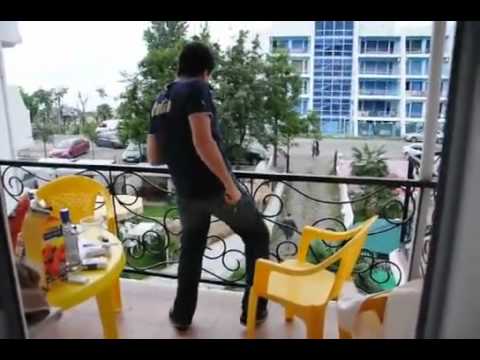 მაგარი ტიპი