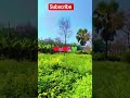 #nature 🥰...