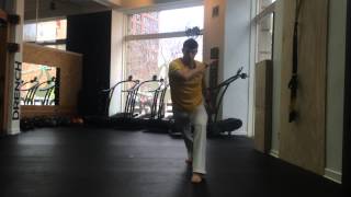12 Basic Capoeira Movements