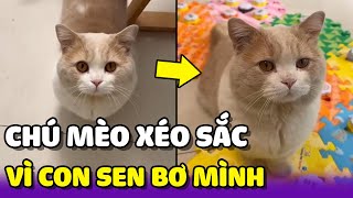 Biểu cảm của hoàng thượng khi mẹ về mà không sờ mình 😂 | Yêu Lu Official