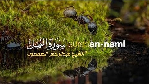 آيات من سورة النمل بتلاوة خاشعة ومؤثرة تحث على التأمل والتفكر بصوت جميل جدا الشيخ عبد الرحمن الصقعوب