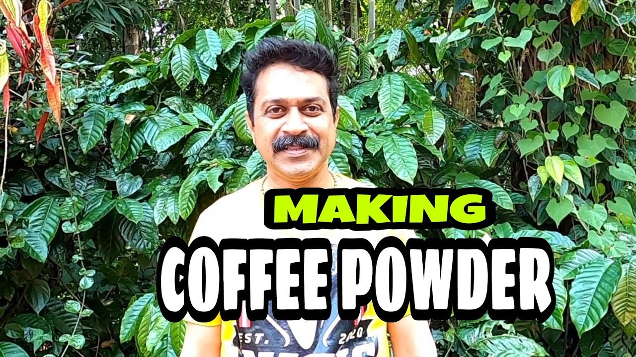 HOW TO MAKE COFFEE POWDER....(Malayalam) YouTube