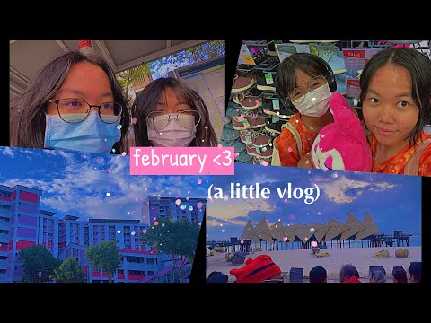a little february vlog☁