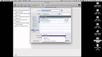Snow Leopard Crashing