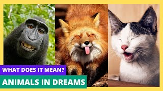 Dreaming About Animals - The Hidden Meaning of Dreams Podcast - E19