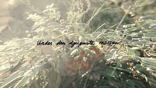 Svarta Havet - Härlig är jorden